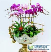 杭州花卉盆景植物租賃租擺服務(wù)，世界工廠網(wǎng)供應(yīng)信息